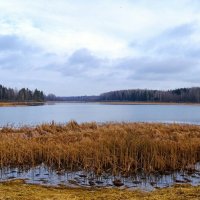 Смоленские озёра :: Милешкин Владимир Алексеевич Смоленские озёра :: Милешкин Владимир Алексеевич