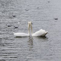 Поприжимались :: Рита Симонова