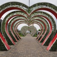 ... :: Митяй Митрич