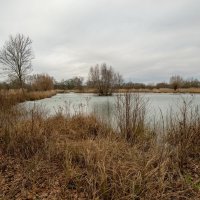 Январский пейзаж... :: Николай Гирш Январский пейзаж... :: Николай Гирш