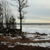 Зеленогорск :: Наталья Герасимова