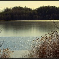 *** :: Aleksandr Gal