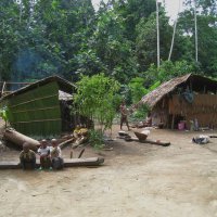 Африканская деревенька. :: unix (Илья Утропов) Африканская деревенька. :: unix (Илья Утропов)