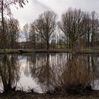 *** :: Николай Гирш