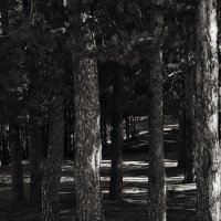 Название отсутствует :: Денис Безногов