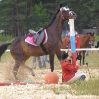 И так бывает. :: Николай ntv И так бывает. :: Николай ntv