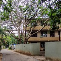 Мирисса :: Dmitry i Mary S Мирисса :: Dmitry i Mary S