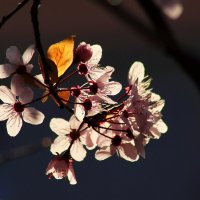 Доброе утро :: Юрий. Шмаков