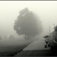 Утро :: Aleksandr Gal