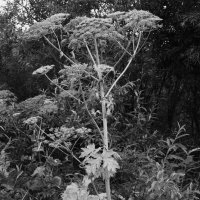 Название отсутствует :: Денис Безногов