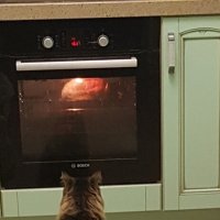 ждет своего часа :: Владимир 