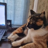 Внезапное озарение :) :: Наталья 