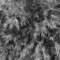 Название отсутствует :: Денис Безногов