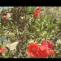 110 (107) :: СТРЕН 