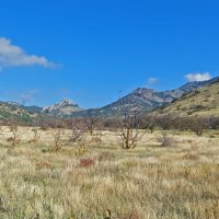 Фисташковая роща  в горах :: ИРЭН@ .