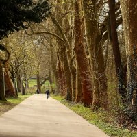 Мартовская аллея :: Юрий. Шмаков