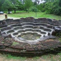 Лотосовый пруд. :: unix (Илья Утропов)