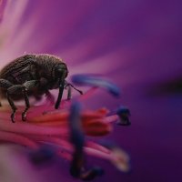 "Относительность" :: Ольга 