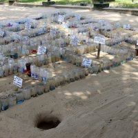 Черепаший инкубатор на берегу :: Галина Ильясова Черепаший инкубатор на берегу :: Галина Ильясова