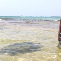 Черепаха готовится выйти на берег, что-бы отложить яйца :: Галина Ильясова Черепаха готовится выйти на берег, что-бы отложить яйца :: Галина Ильясова