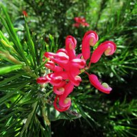 Мармарис июнь  Турция :: Елена Шаламова