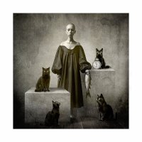 а вот и обед ... :: старик 