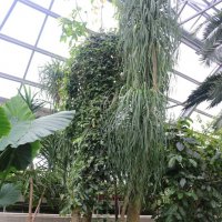 Заполярные тропики :: Ольга 