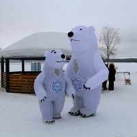 Мишки на севере :: Ольга 