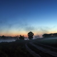 Деревенские рассветы. :: Владимир Безбородов Деревенские рассветы. :: Владимир Безбородов