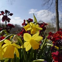 Цветотерапия в ботаническом саду... :: Галина Цветотерапия в ботаническом саду... :: Галина