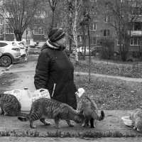 Столовая и её шеф-повар :: Владимир Носов Столовая и её шеф-повар :: Владимир Носов