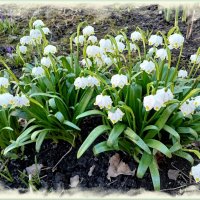 С 1 апреля! :: Лия ☼