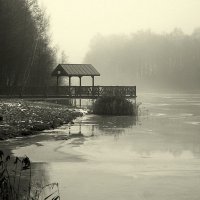 Утро :: Aleksandr Gal