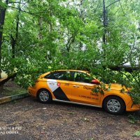 Шутки природы :: ИриШка 