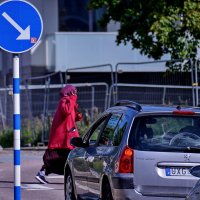 Только что все узнали, куда им "ехать" надо ... :: Alexandеr P