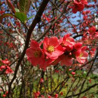 "Боже мой, как всё красиво!  Всякий раз - как никогда.  Нет в прекрасном перерыва..." :: Галина 