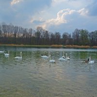 ... :: Галина ... :: Галина