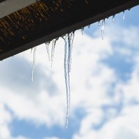 *** :: Николай Чекалин