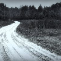 Дорога к озёрам .... :: Владимир Шошин Дорога к озёрам .... :: Владимир Шошин