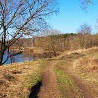 Дорога рыбаков и охотников. :: Милешкин Владимир Алексеевич 