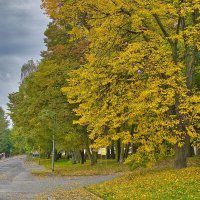 Золотая Прага :: Sergey Grim