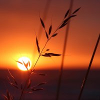 На закате :: Августина 