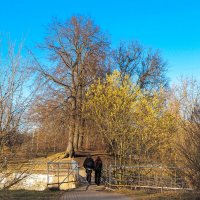 ***** :: юрий поляков ***** :: юрий поляков