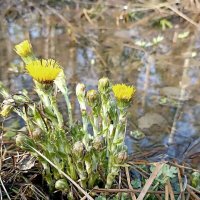 У воды :: Татьяна Тюменка