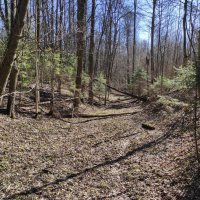 Сухой овражек :: Игорь Ч. Сухой овражек :: Игорь Ч.