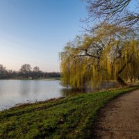 В начале дня... :: Николай Гирш В начале дня... :: Николай Гирш