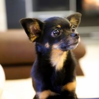 Ka :: Андрей Л. В.