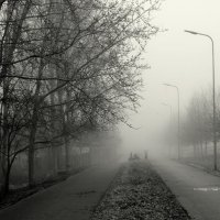 Утренний туман... :: Aleksandr Gal
