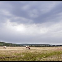 Осень :: **** vedin