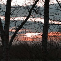 На исходе дня :: Любовь Сахарова